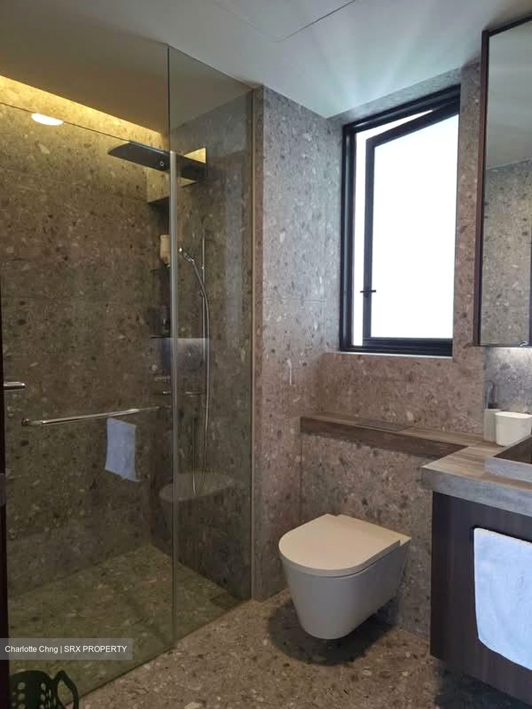 One Pearl Bank (D3), Apartment #535704821